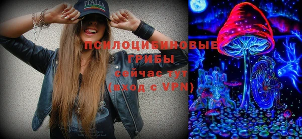 эйфоретик Алзамай