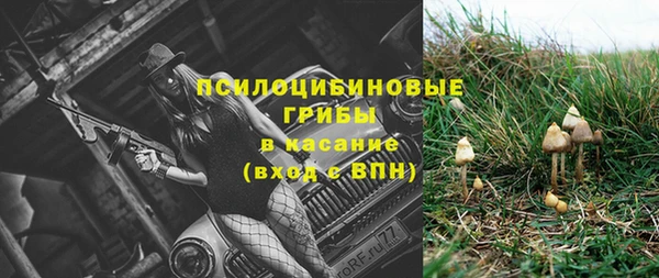 эйфоретик Алзамай