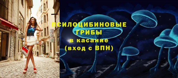 эйфоретик Алзамай