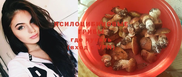 эйфоретик Алзамай
