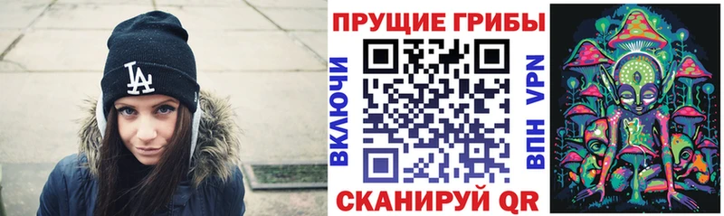 Галлюциногенные грибы GOLDEN TEACHER  Владивосток 